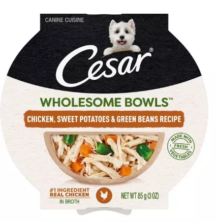 Chewy cesar dog food hotsell